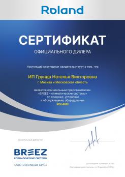 Roland RDI-WZ09HSS/N1