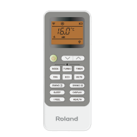 Roland RD-WZ18HSS/N1